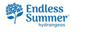 Endless Summer® Hydrangeas