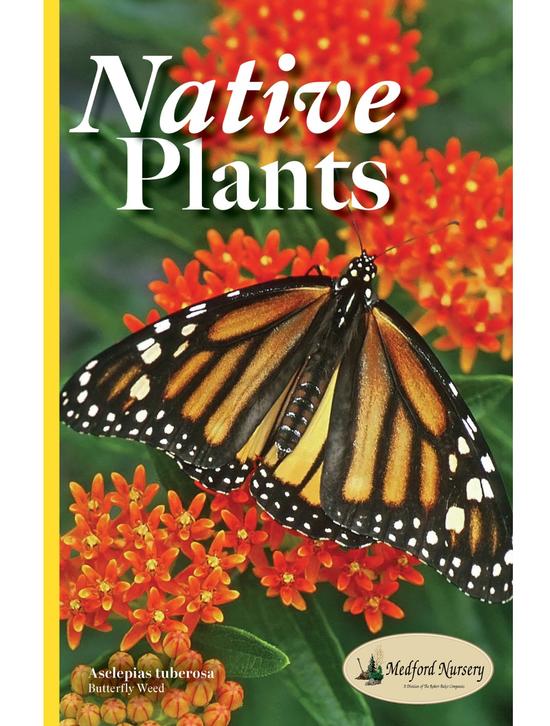 Native Plants Catalog