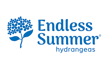 Endless Summer® Hydrangeas