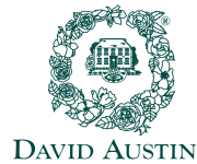 David Austin® Roses