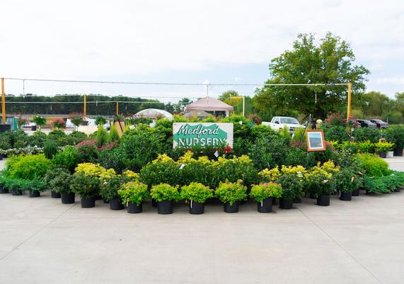 Jersey Days 2024 - 2