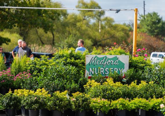 Jersey Days 2024 - 6