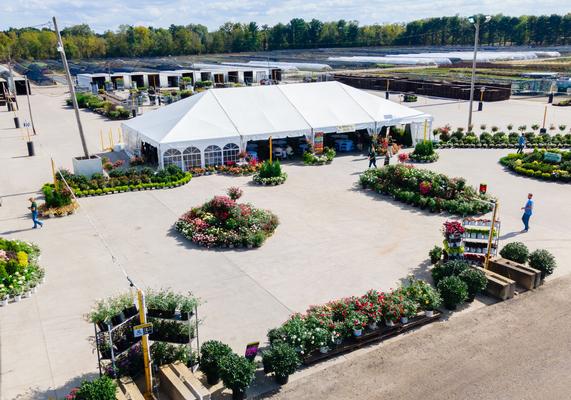 Jersey Days 2024 - 16