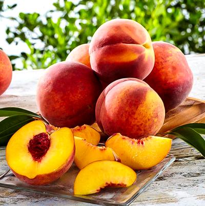 Peach Semi-Dwarf Glohaven